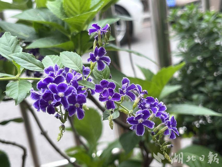 能赚钱的苹果手机游戏